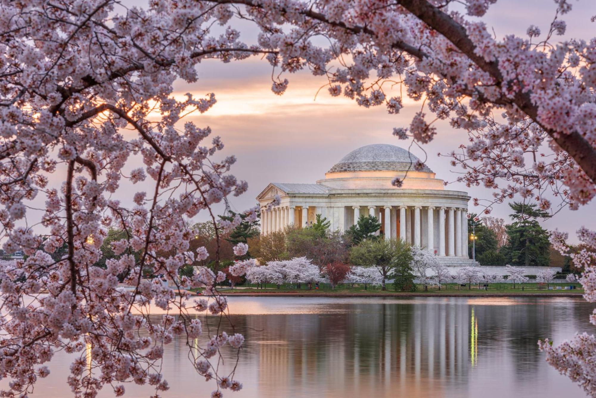 Отель Crowne Plaza College Park - Washington Dc Гринбелт Экстерьер фото
